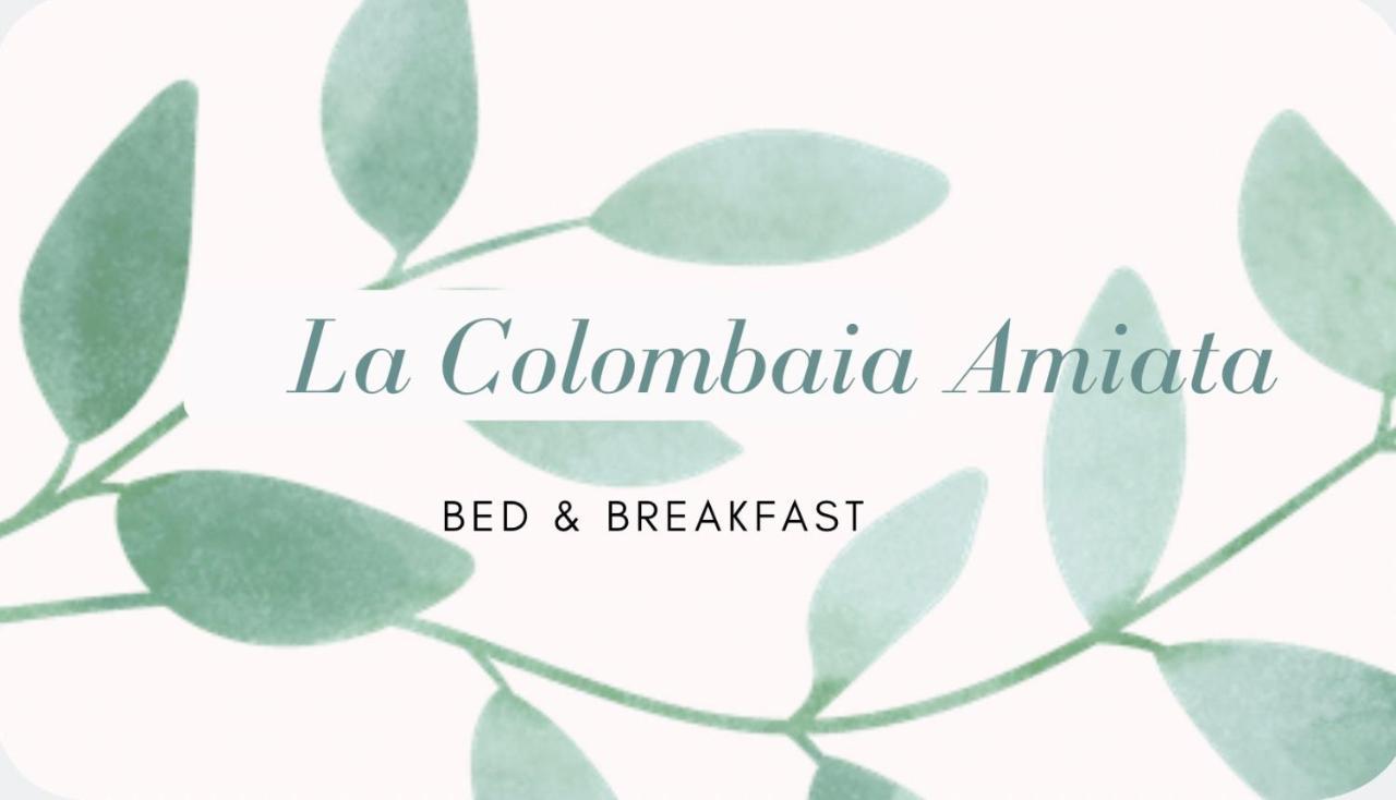 Bed and Breakfast La Colombaia Amiata à Arcidosso Extérieur photo